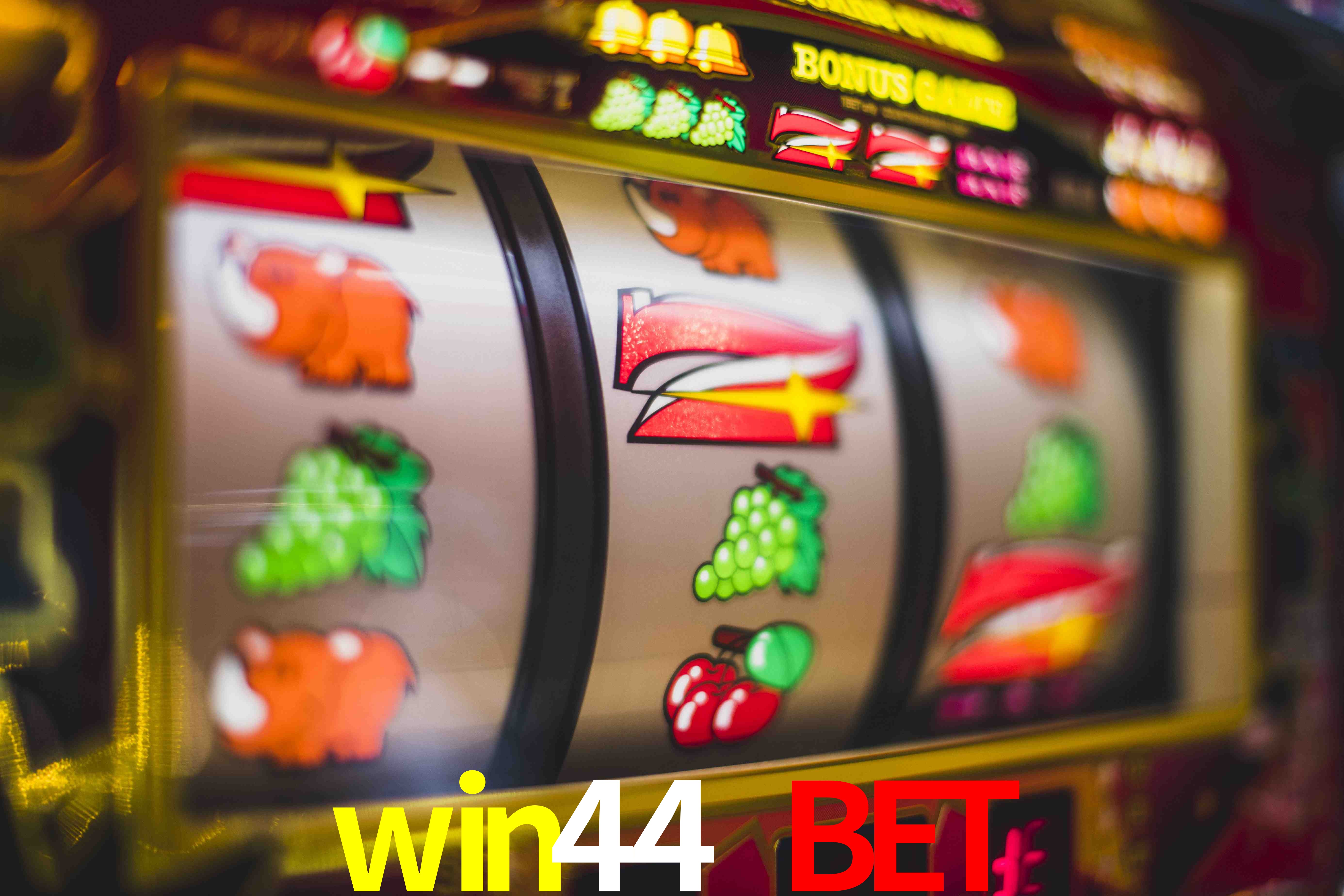 Live Casino win44 bet